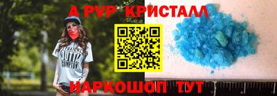 стаф Кингисепп