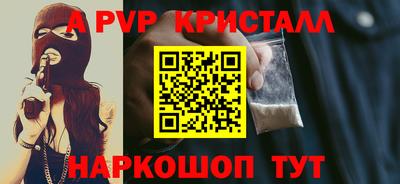 стаф Кингисепп