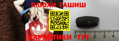 стаф Кингисепп